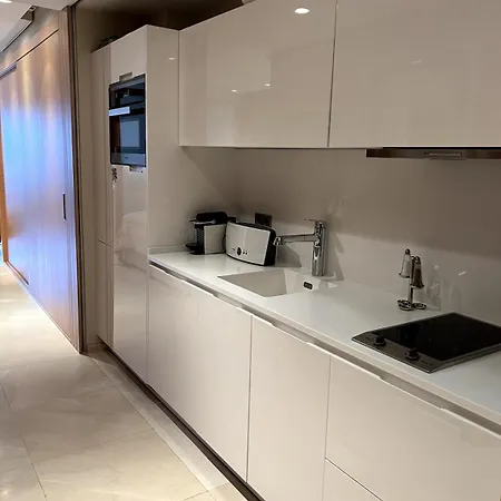 Luxury In Puente-romano